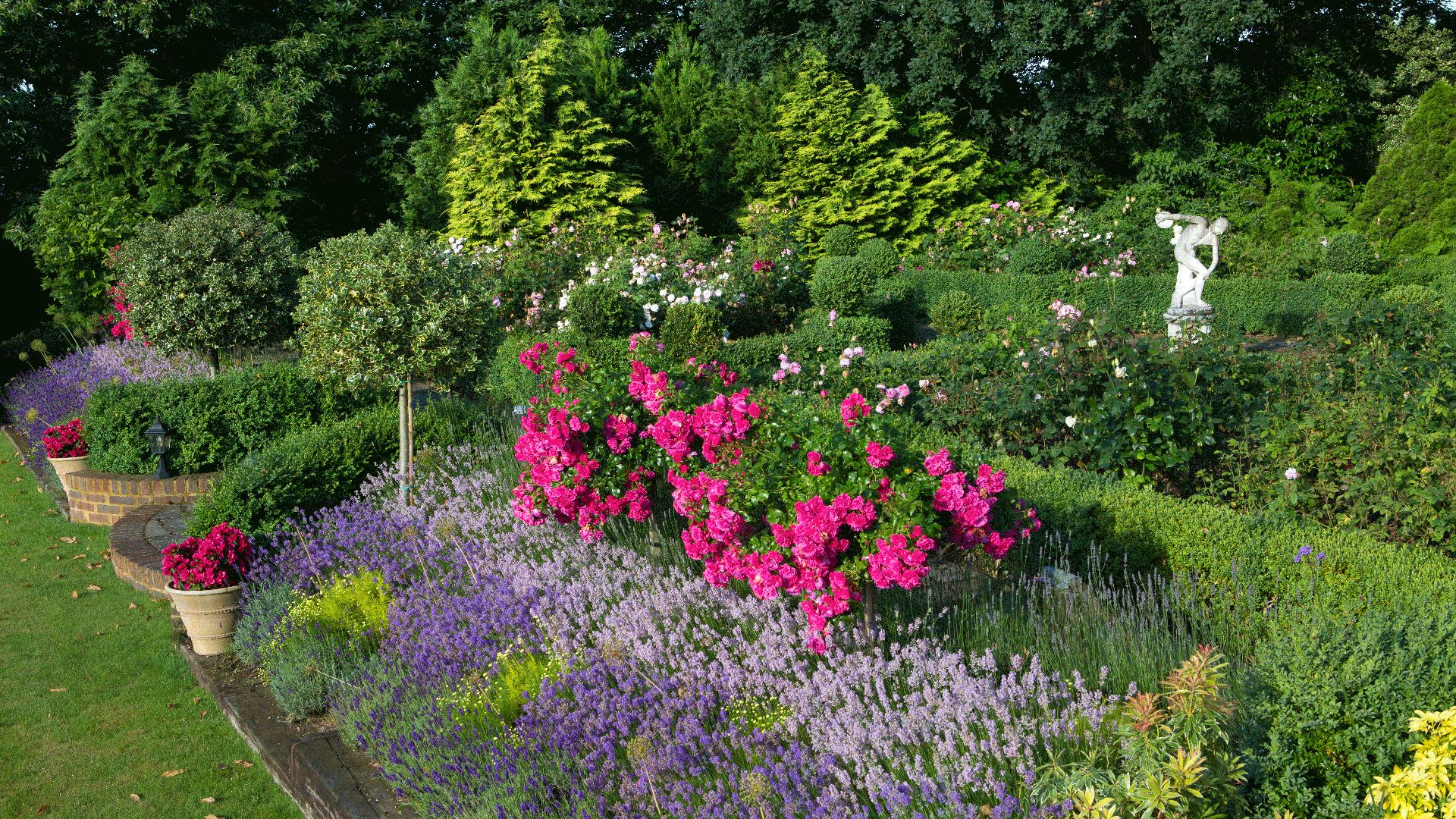 Claire Merriman Design -Lavender and Rose Garden - 02