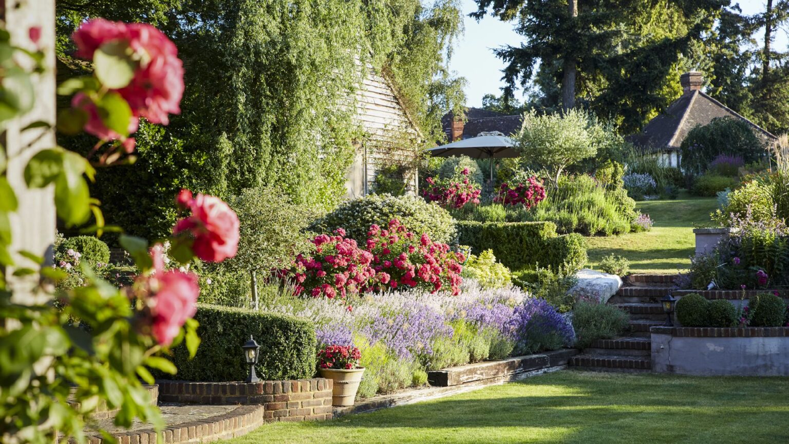 Lavender & Rose Garden – Landscape Design and Garden Project Management